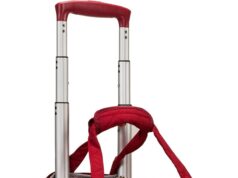 Rockland Melrose Upright Wheeled Underseater Luggage, Red, Carry-On 15-Inch
