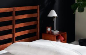 Tempur-Pedic TEMPUR-Body Pillow, Queen