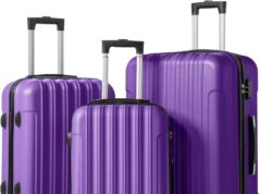 Karl home Luggage Set of 3 Hardside Carry on Suitcase Sets with Spinner Wheels & TSA lock, Portable Lightweight ABS Luggages for Travel, Business – Purple (20/24/28)