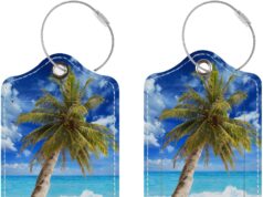 Luggage Tags for Suitcases, 2 Pack Cute PU Leather Suitcase Tag Identifiers TSA Approved with Stainless Steel Loop and Address Card for Baggage Tag for Cruise Airport Travel Essentials by Chelmon