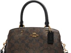 Coach Unisex Mini Lillie Carryall