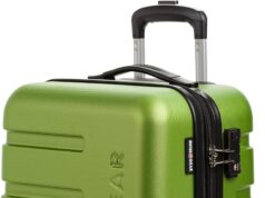 SwissGear 7366 Hardside Expandable Luggage with Spinner Wheels, Green, Carry-On 19-Inch