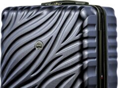 Delsey Paris Alexis Durable Hardside Luggage, Expandable Lightweight 4-Wheel Spinner, Easy Grip Telescoping Handle for Smooth Mobility, TSA-Lock Incorporated, Men and Women, Navy, Check-In 29-Inch